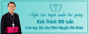 Học Thánh Kinh 100 tuần, cha Phero Nguyễn Văn Khảm